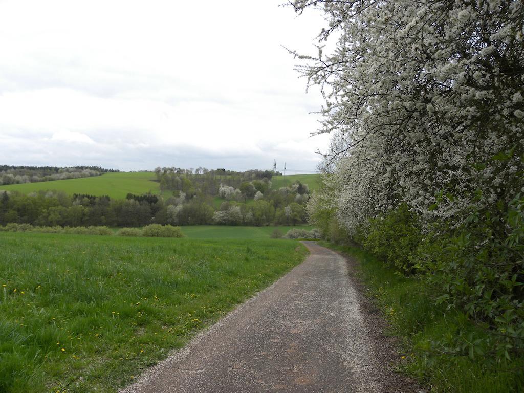 Thuringer Hof Richelsdorf Zewnętrze zdjęcie