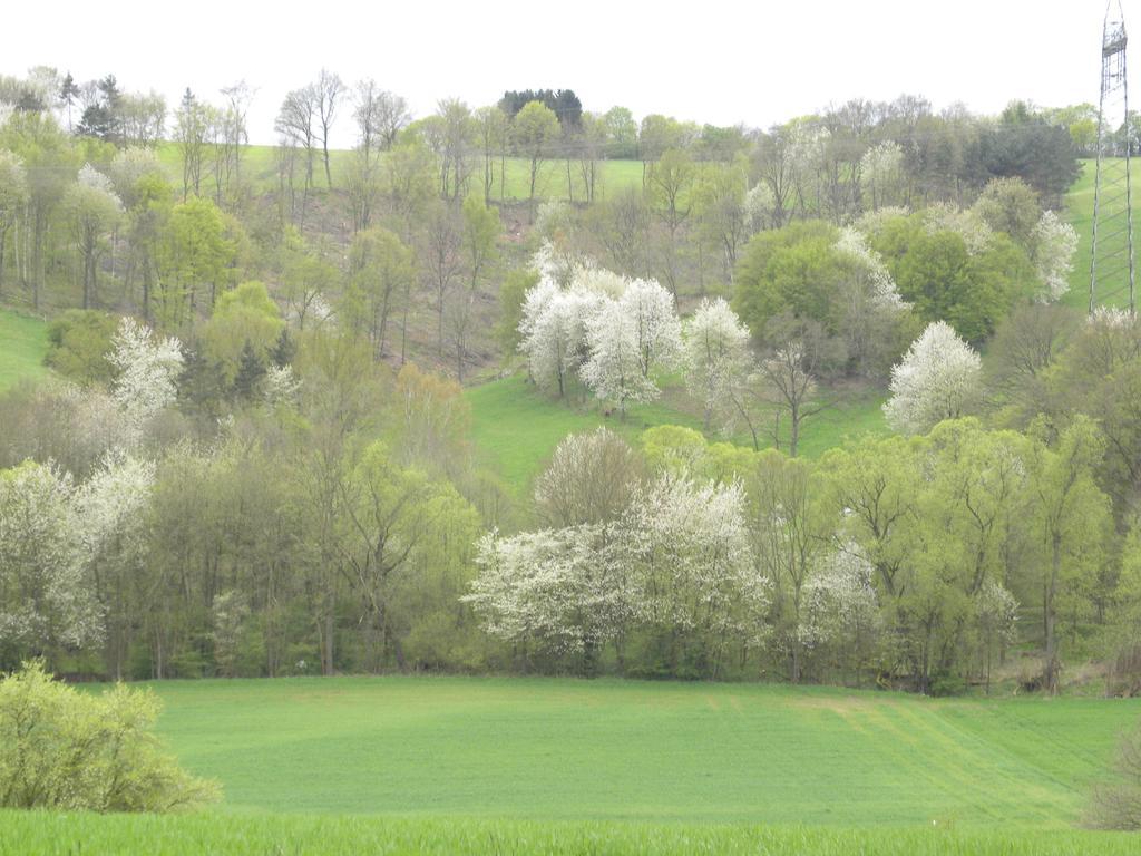 Thuringer Hof Richelsdorf Zewnętrze zdjęcie